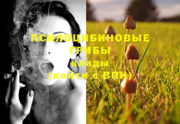 героин Алзамай