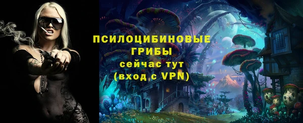 тгк Алексин
