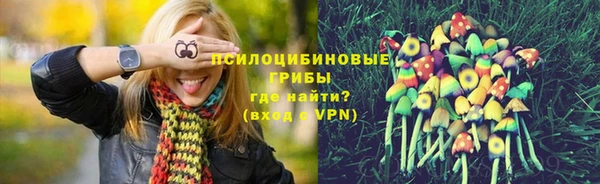 тгк Алексин