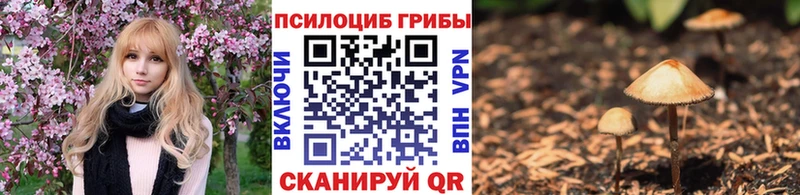 магазин Анадырь Псилоцибиновые грибы Magic Shrooms